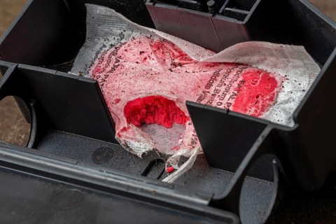 Open mouse bait station showing nibbling traces on bag with Brodifacoum rodenticide, poisonous