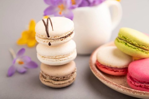 Multicolored macaroons with spring snowdrop crocus flowers on gray pastel background. side view,