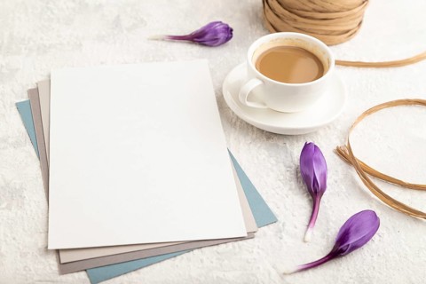 White paper sheet mockup with spring snowdrop crocus flowers and cup of coffee on gray concrete