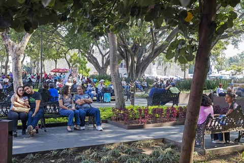 Mexicans in the Jardin Juárez, Juarez Garden, Zócalo, oldest public square in the city centre of