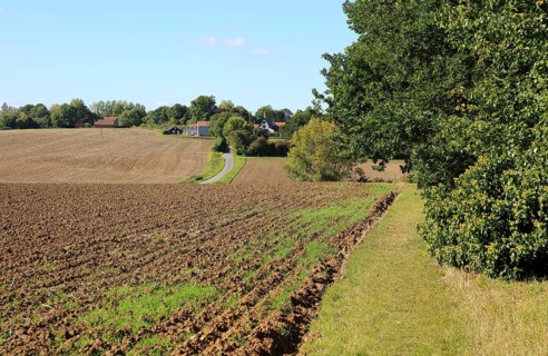 Rural early autumn landscape harrowed field and pathway, Monewden, Suffolk, England, UK