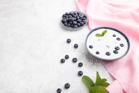 Yogurt with blueberry in ceramic bowl on gray concrete background and pink linen textile. Side