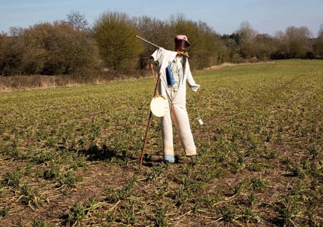 Scarecrow standing in field, Lindsey, Suffolk, England, UK