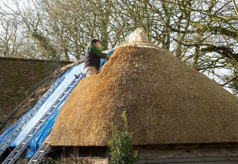 Thatcher working on roof of house, Alton Priors, Wiltshire, England, UK