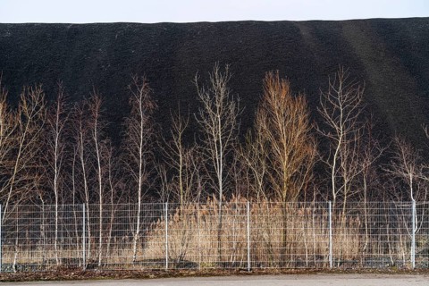 Coal stockpile, coal store, steam coal, for the STEAG Herne thermal power station, on the