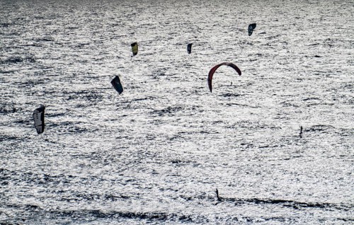 Kitesurfers and windsurfers in strong winds on the beach of Scheveningen, The Hague, Netherlands