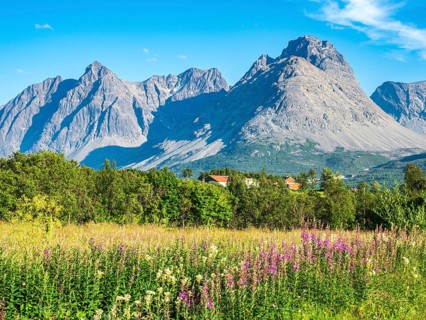 Farm houses south of Svensby at the Kjosenfjord, steep mountain peaks, Lyngen peninsula, Norway,