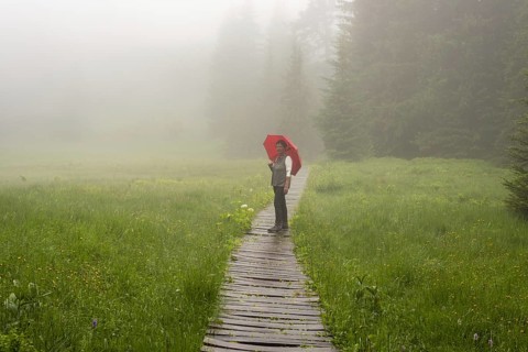 Woman 60-65 with umbrella in the Hühnermoos on a cloudy day with fog, a high moor at the Söllereck