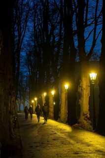 The Burgallee in Düsseldorf-Kaiserswerth, tree-lined avenue, at the old imperial palace, on the