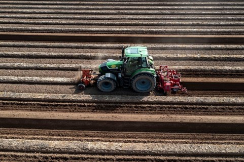 A farmer builds asparagus ridges on a field with the help of an asparagus tiller, in which the