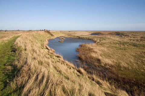 Lagoons behind shingle bay bar Hollesley Bay, near Shingle Street, Suffolk, England, United