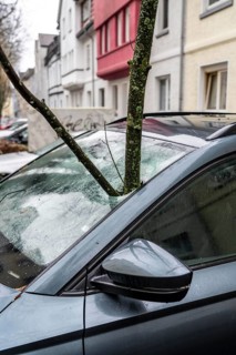 North Rhine-Westphalia, Germany, storm damage, a good 4 metre long branch was broken off by the