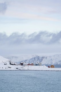 Colourful houses in a snowy landscape, fishing village Kongsfjord, Berlevåg, Varanger Peninsula,