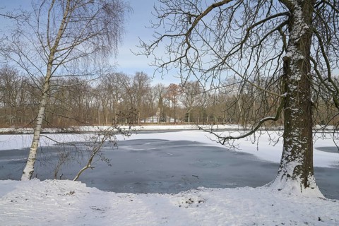 Winter, carp pond, ice, Treptower Park, Treptow, Treptow-Köpenick, Berlin, Germany, Europe
