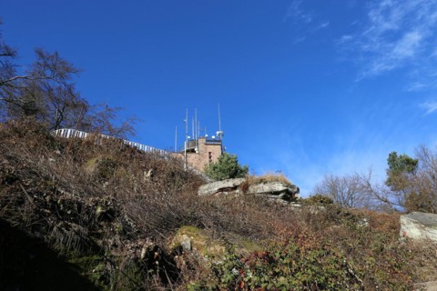 View of the summit of the Kalmit, the highest peak in the Palatinate Forest at 672 metres above sea