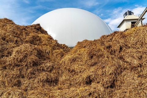 Biogas plant, gas storage, with dome, use of solid manure as energy source, storage area, on a farm