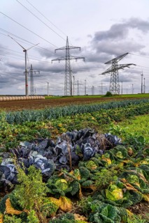 Wind farm, power line, high-voltage pylons, agriculture, fields, fields, east of Bad Wünnenberg,