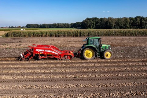 Potato harvest, so-called split harvesting method, first the tubers are taken out of the ground