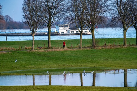 Flood on the Rhine, Flooded banks of the Rhine, Rhine meadows near the village of Grieht, Kalkar,