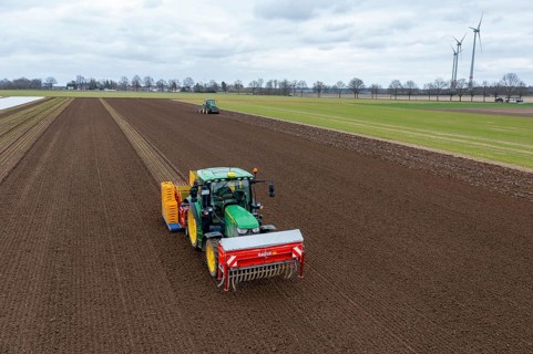 Lettuce plants are planted with a planting machine, tractor with roundabout harrow prepares the
