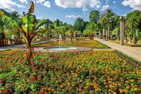 Palm garden in the spa gardens, the largest outdoor palm garden north of the Alps, spa town of Bad