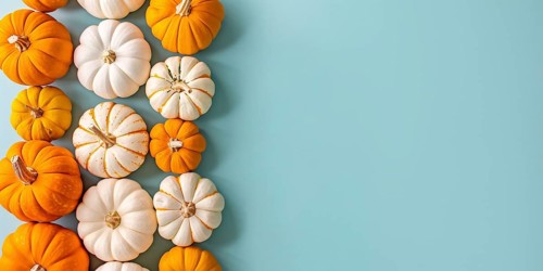 Banner with orange and white pumpkins on pastel blue background with copy space. Generative Ai, AI
