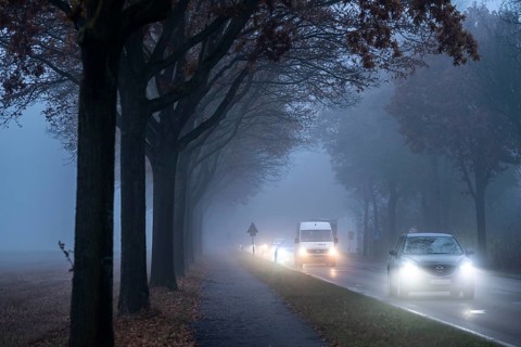 Country road B 57 near Erkelenz, autumn, fog, rainy weather, tree-lined avenue, wet road, North