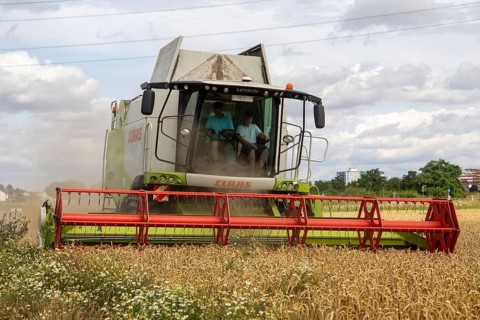 Grain harvest in the Rhein-Pfalz district near Mutterstadt