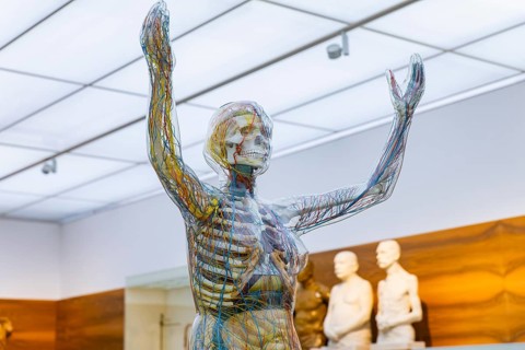 Founded in 1912, the Deutsches Hygiene-Museum is a museum in Dresden. It sees itself as a public