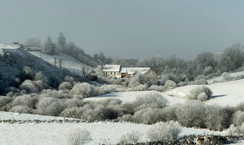 Aubrac plateau. Farm in winter. Lozere department. Occitanie. France