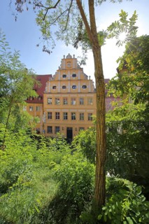 Baroque Alter Ebracher Hof with tail gable in backlight and tree trunk, green, Bamberg, Upper