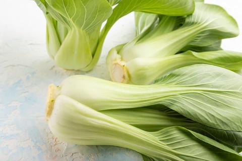 Fresh green bok choy or pac choi chinese cabbage on a white concrete background. Side view, close