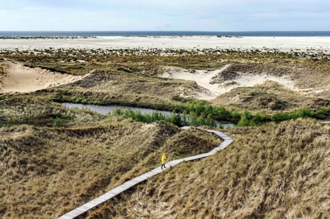 Woman with yellow rain jacket walking along a boardwalk in the dunes, Amrum Island, Wittdün,