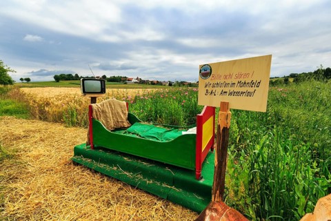 Colourful outdoor wooden bed on straw, vintage TV with antenna, original hiking trail in the poppy