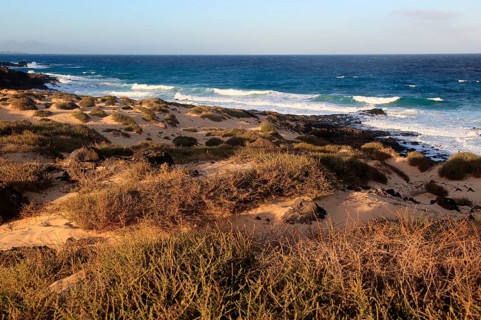 Coastal landscape sandy beach dunes, Corralejo, Fuerteventura, Canary Islands, Spain, Europe