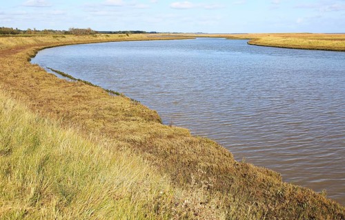 Landscape at high tide Barthorp's Creek, Hollesley Bay, near Shingle Street, Suffolk, England, UK