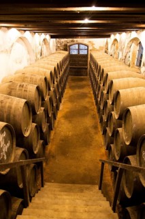 Oak barrels of maturing sherry wine in cellar, Gonzalez Byass bodega, Jerez de la Frontera, Cadiz