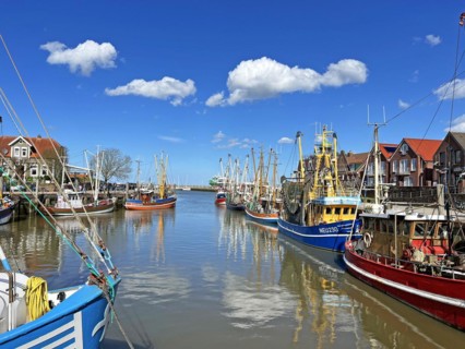 Crab cutter, harbour, Neuharlingersiel, East Frisia, Germany, Europe