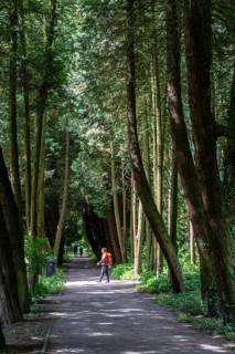 The park cemetery in Essen-Huttrop, the largest cemetery in the city, North Rhine-Westphalia,