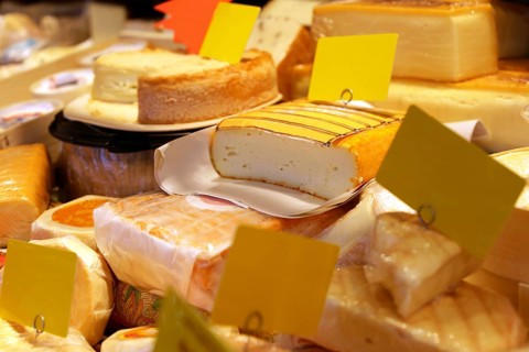 Cheese counter with a variety of different cheeses
