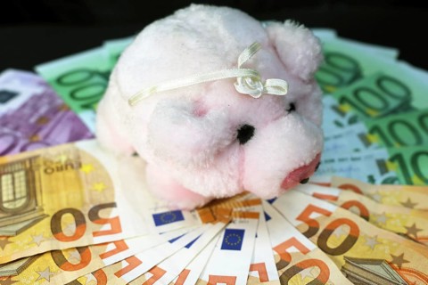 Euro banknotes with a pig as a symbol of good luck