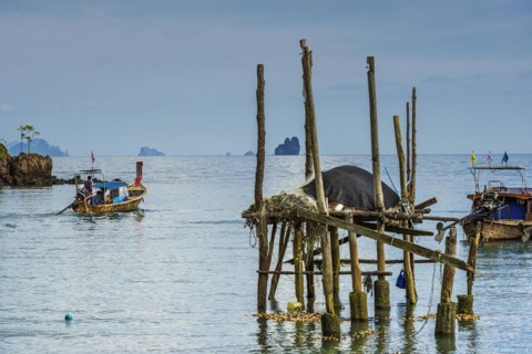 Remains of a jetty at Phang Nga bay near Koh Yao Noi, seascape, seascape, nature, longtail boat,