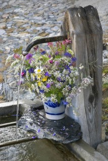 Europe Schweinz Albinen fountain water water jet flowers decorative decorative Valais