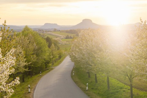 Spring in Saxon Switzerland, Altendorf, Saxony, Germany, Europe
