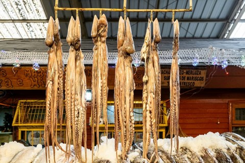 Angelmo Fish Market, Puerto Montt, Chile, South America