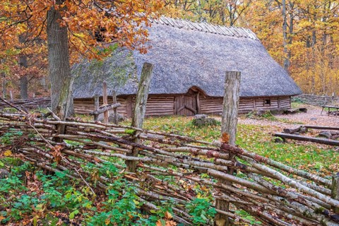 Fence of branches at a timbered longhouse in an oak forest with autumn colors, Åsarp, Sweden,