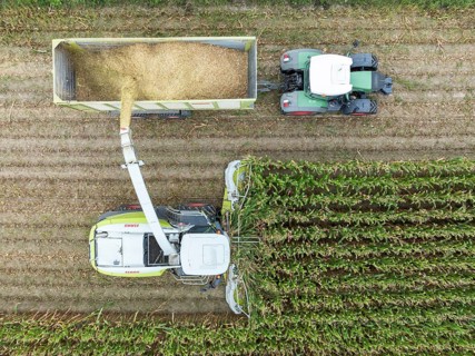 A tractor with silage transport wagon drives next to a forage harvester to load chopped maize,