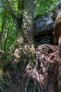 The Devil's Gorge, narrow, accessible gorge of sandstone rocks, with steep rocky gorges, near