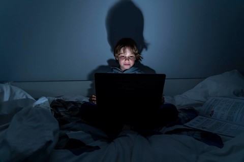 Boy, at home on the computer, laptop, in the children's room, playing a game