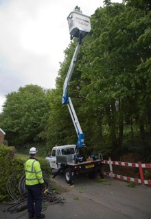 Man in platform of cherry picker crane working in tree-tops, Shottisham, Suffolk, England, United